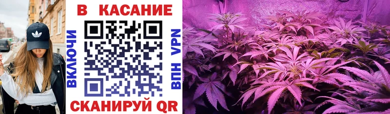 Продажа наркотиков Плавск blacksprut зеркало ГАШИШ
