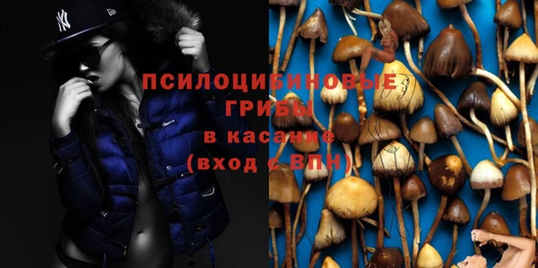 бутират Аркадак