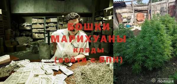 дурь Арсеньев