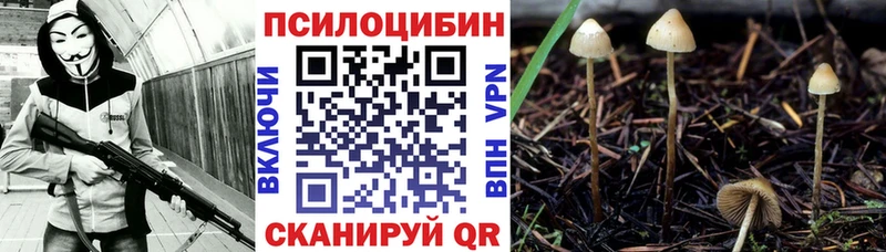 Псилоцибиновые грибы прущие грибы  Плавск 